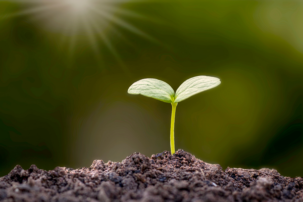 4 Things You Didn't Know About Fulvic Acid