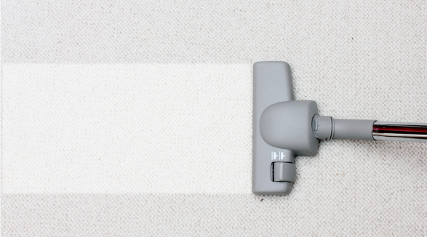 DIY Natural Carpet Freshener (Safe, Effective & Smells Amazing)