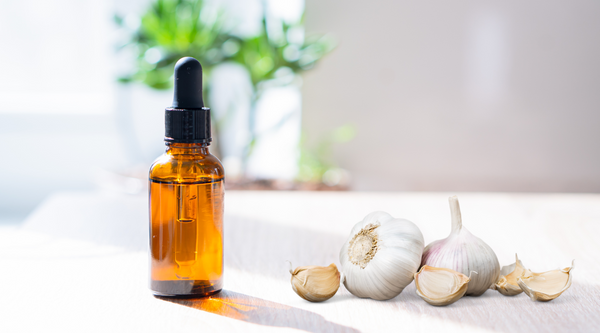 Garlic Oil for Ear Infections