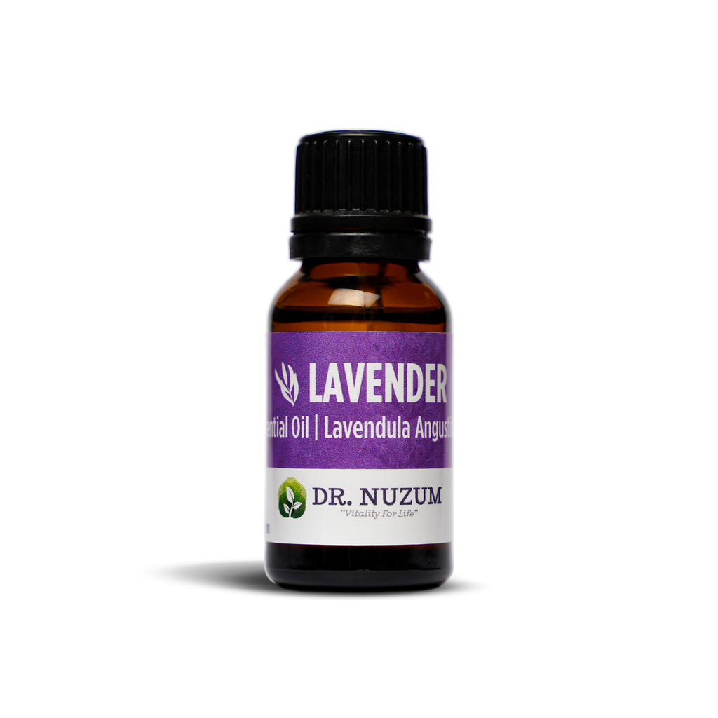 Lavender (lavandula angustifolia)