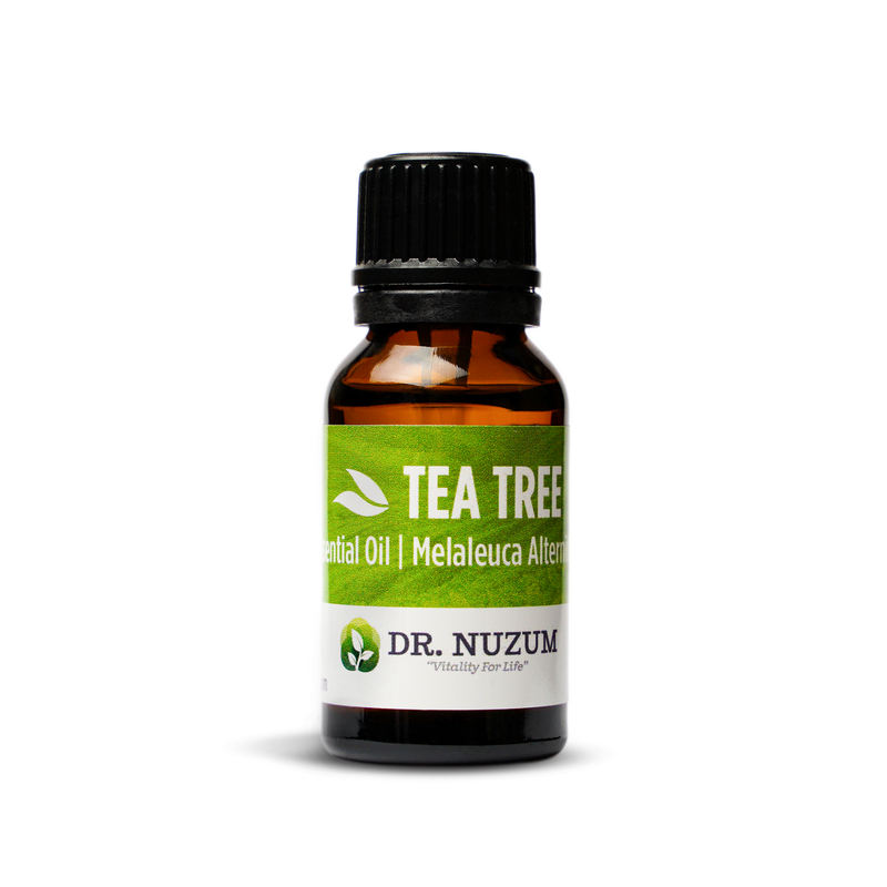 Tea Tree (melaleuca alternifolia)